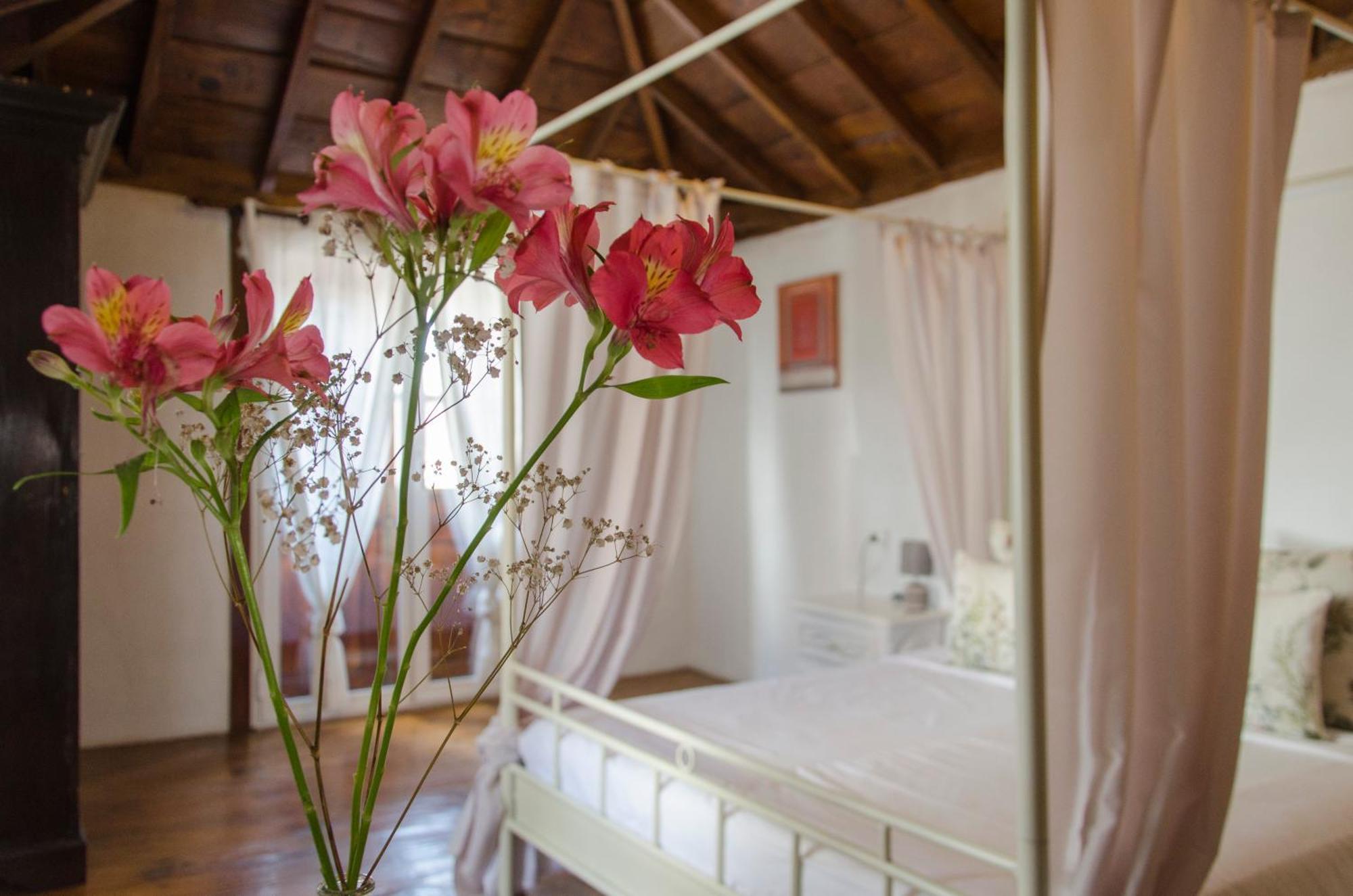 Hotel Rural Casona Santo Domingo Güimar Buitenkant foto